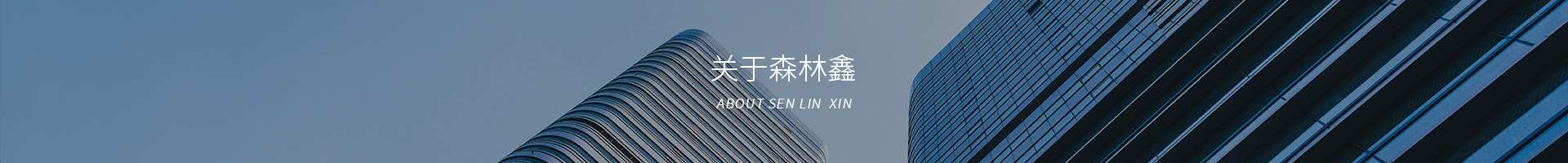 深圳市森林鑫科技有限公司